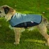 Petface Outdoor Paws Dog Coat