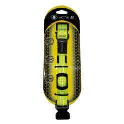 Active LED Collars
