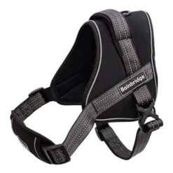 Bainbridge Padded Harness