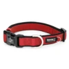 Premium Sport Dog Collar