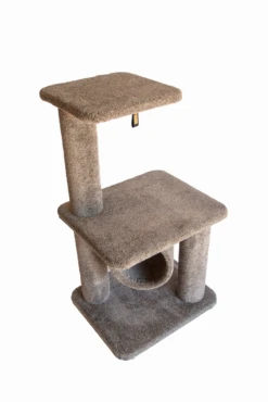 Bosscat Baxter -Pet Supplies Store Baxter Above