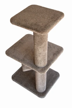 Bosscat Baxter -Pet Supplies Store Baxter Post