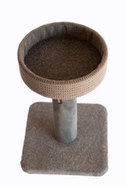 Bosscat Duke -Pet Supplies Store Duke Above