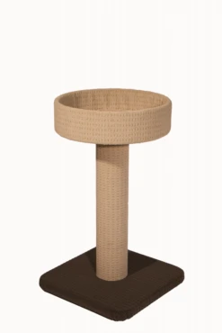 Bosscat Duke -Pet Supplies Store Duke Colour Example 2