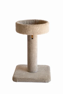 Bosscat Duke -Pet Supplies Store Duke Colour Example