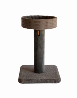 Bosscat Duke -Pet Supplies Store Duke e1661398532928