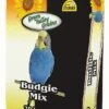 Green Valley Budgie Mix