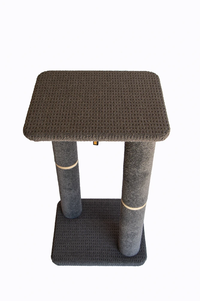 Bosscat Gus 4 Bosscat Gus - Image 4