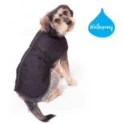 Kazoo Adventure Dog Coat XXS-L -Pet Supplies Store Kazoo Adventure Coat Black