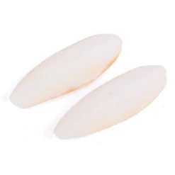 Kazoo Natural Cuttlebone 2Pk