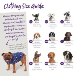 Kazoo Adventure Dog Coat XXS-L -Pet Supplies Store Kazoo Size Guide