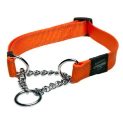 Rogz Obedience Half Check Collar -Pet Supplies Store Obedience Half Check Reflective Stitching HC D Orange 400x400 1