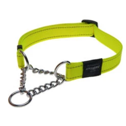 Rogz Obedience Half Check Collar -Pet Supplies Store Obedience Half Check Reflective Stitching HC H DayGlo 400x400 1
