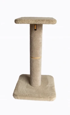 Bosscat Pepa 6 Bosscat Pepa -Pet Supplies Store Pepa