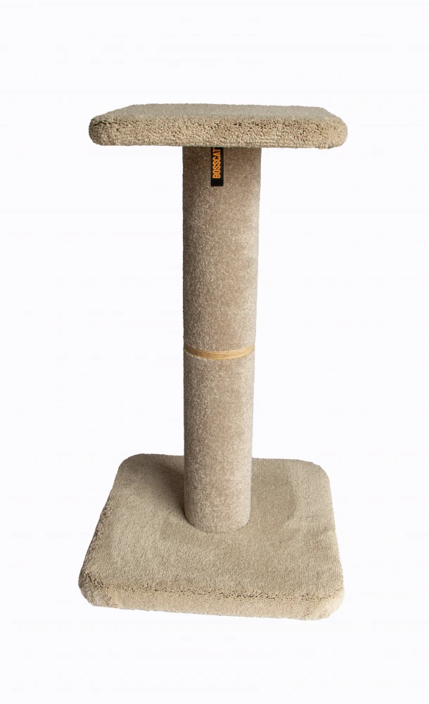 Bosscat Pepa 3 Bosscat Pepa - Image 3