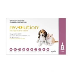 Revolution For Puppies And Kittens
