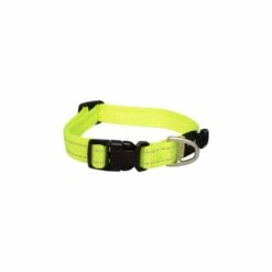 Rogz Classic Collar -Pet Supplies Store Rogz Classic Collar Dayglo