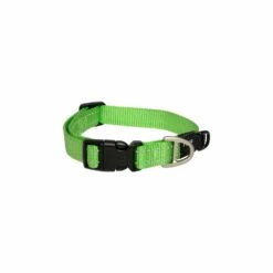 Rogz Classic Collar -Pet Supplies Store Rogz Classic Collar Lime