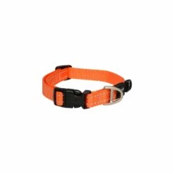 Rogz Classic Collar -Pet Supplies Store Rogz Classic Collar Orange