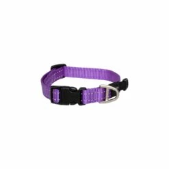 Rogz Classic Collar -Pet Supplies Store Rogz Classic Collar Purple