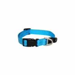 Rogz Classic Collar -Pet Supplies Store Rogz Classic Collar Turquoise