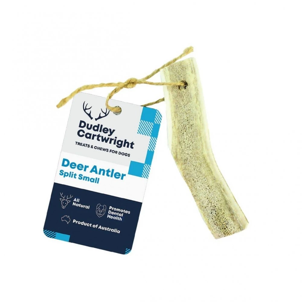 Deer Antler Chews 6 Deer Antler Chews - Image 6