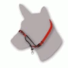 Blackdog Wear Training Halter