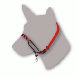Blackdog Wear Training Halter