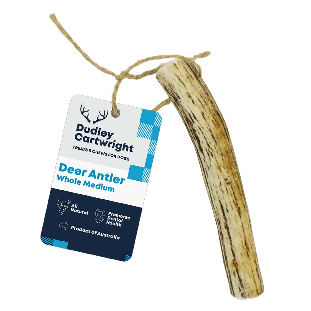 Deer Antler Chews 2 Deer Antler Chews - Image 2