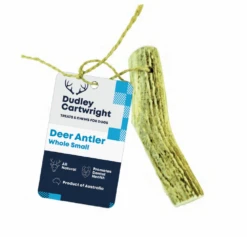 Deer Antler Chews 8 Deer Antler Chews -Pet Supplies Store Whole Antler Small DC605